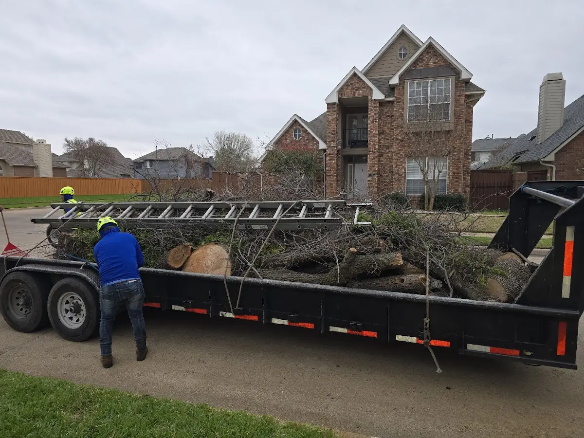 Expert Tree Removal with proper safety equipment in Revelo